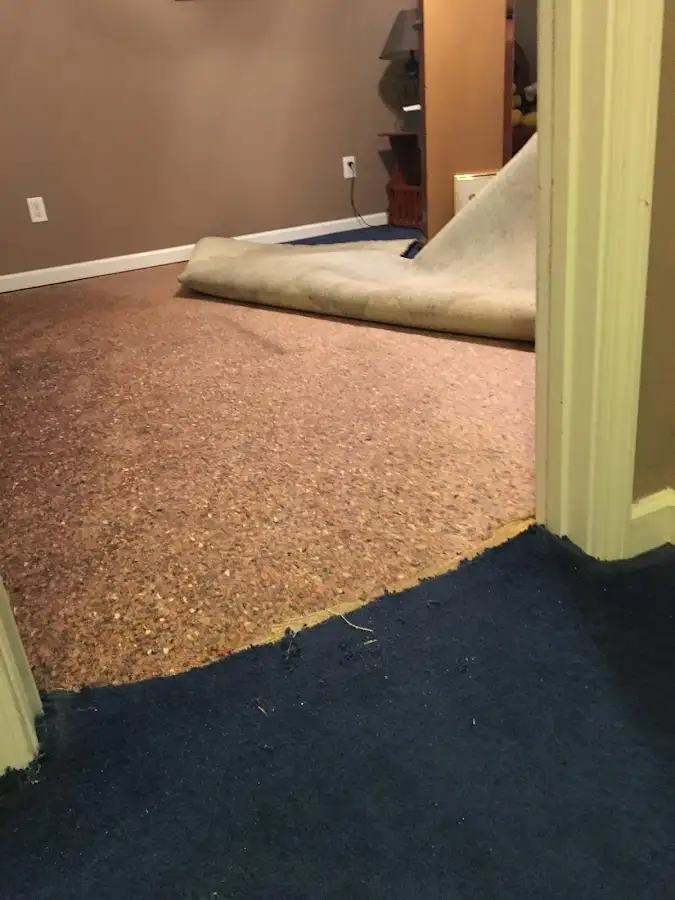 Carpet pad removal revealing water damage during Water Mitigation Services in Des Plaines