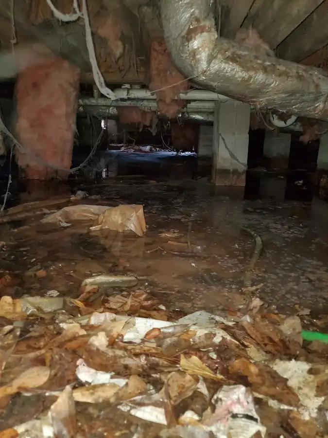 Crawl space flood assessment for Leak Detection & Repair in Des Plaines
