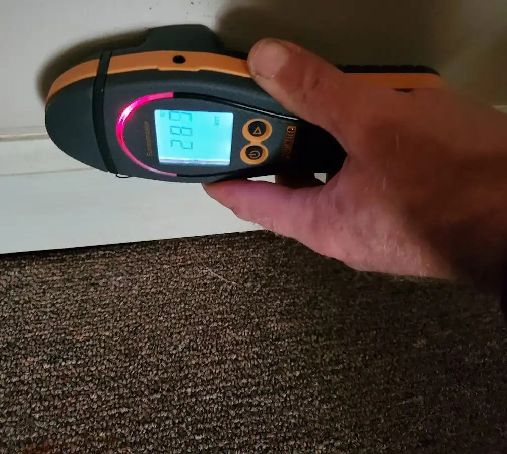 Moisture detection at baseboard during Burst Pipe Cleanup in Des Plaines